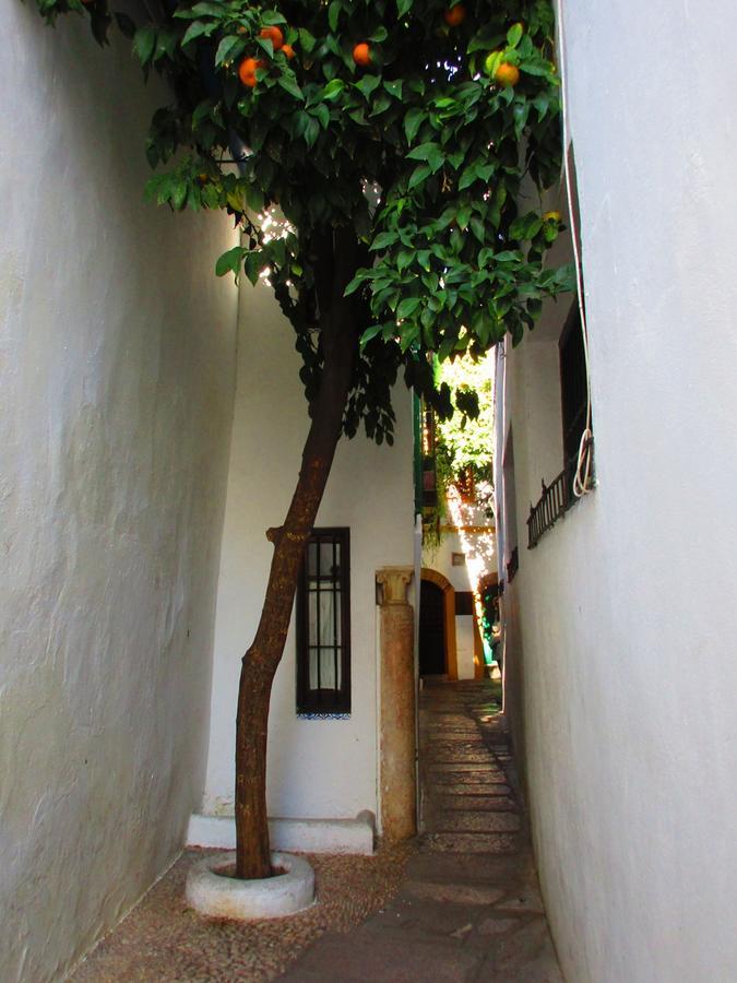 Cordoba Con Encanto Lubi I Exteriér fotografie